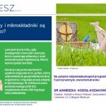 Które witaminy i mikroskładniki są najlepsze na lato?