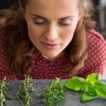 Domowy zielnik: Sposób na świeże i aromatyczne przyprawy poza sezonem + Przepis