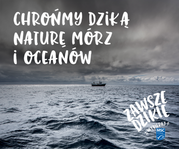 Zawsze Dzikie – rusza kampania MSC na rzecz ochrony dzikiej natury oceanów LIFESTYLE, Żywienie - Tylko 3,2 % Polaków zdaje sobie sprawę, jak bardzo zagrożone są dziko żyjące ryby . Podczas gdy wszyscy czerpiemy z zasobów mórz i oceanów, zaledwie niewielka część społeczeństwa ma świadomość, że aż 90% łowisk dziko żyjących ryb jest zagrożona przełowieniem .