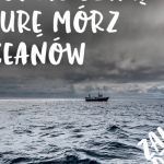 Zawsze Dzikie – rusza kampania MSC na rzecz ochrony dzikiej natury oceanów