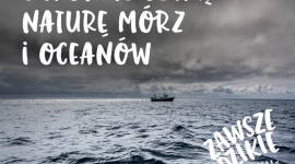 Zawsze Dzikie – rusza kampania MSC na rzecz ochrony dzikiej natury oceanów