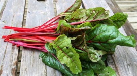 Botwina – dlaczego warto ją jeść? LIFESTYLE, Żywienie - Lekkostrawna i niskokaloryczna botwina to idealny wybór na lato. Poza świetnym smakiem jest też nieocenionym źródłem witamin i minerałów potrzebnych do prawidłowego funkcjonowania organizmu. Jakie właściwości posiadają młode listki i korzenie buraka ćwikłowego?