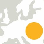 Filmowa Europa na Widelcu 2019