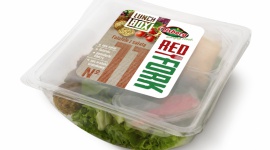 Nowość! Lunch Box Red Fork: Falafele z sałatą marki Eisberg LIFESTYLE, Żywienie - Tym razem do bogatej palety propozycji z tytułowym czerwonym widelcem, dołącza kolejny Lunch Box Red Fork w wygodnej formie - Falafele z sałatą.