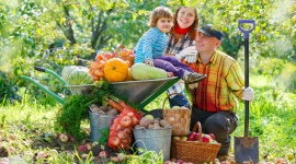 Już dziś obchodzimy Światowy Dzień Owoców i Warzyw! LIFESTYLE, Żywienie - Warzywa i owoce, obok aktywności fizycznej, zajmują najważniejsze miejsce w Piramidzie Zdrowego Żywienia i Aktywności Fizycznej.