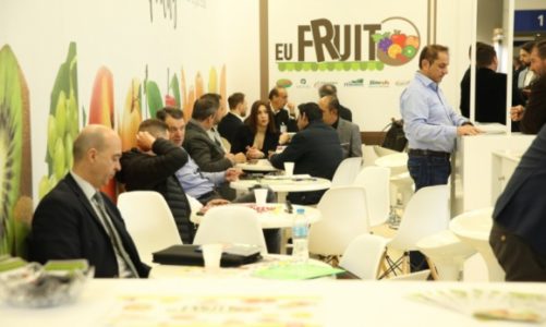 Targi FRUIT LOGISTICA w Berlinie